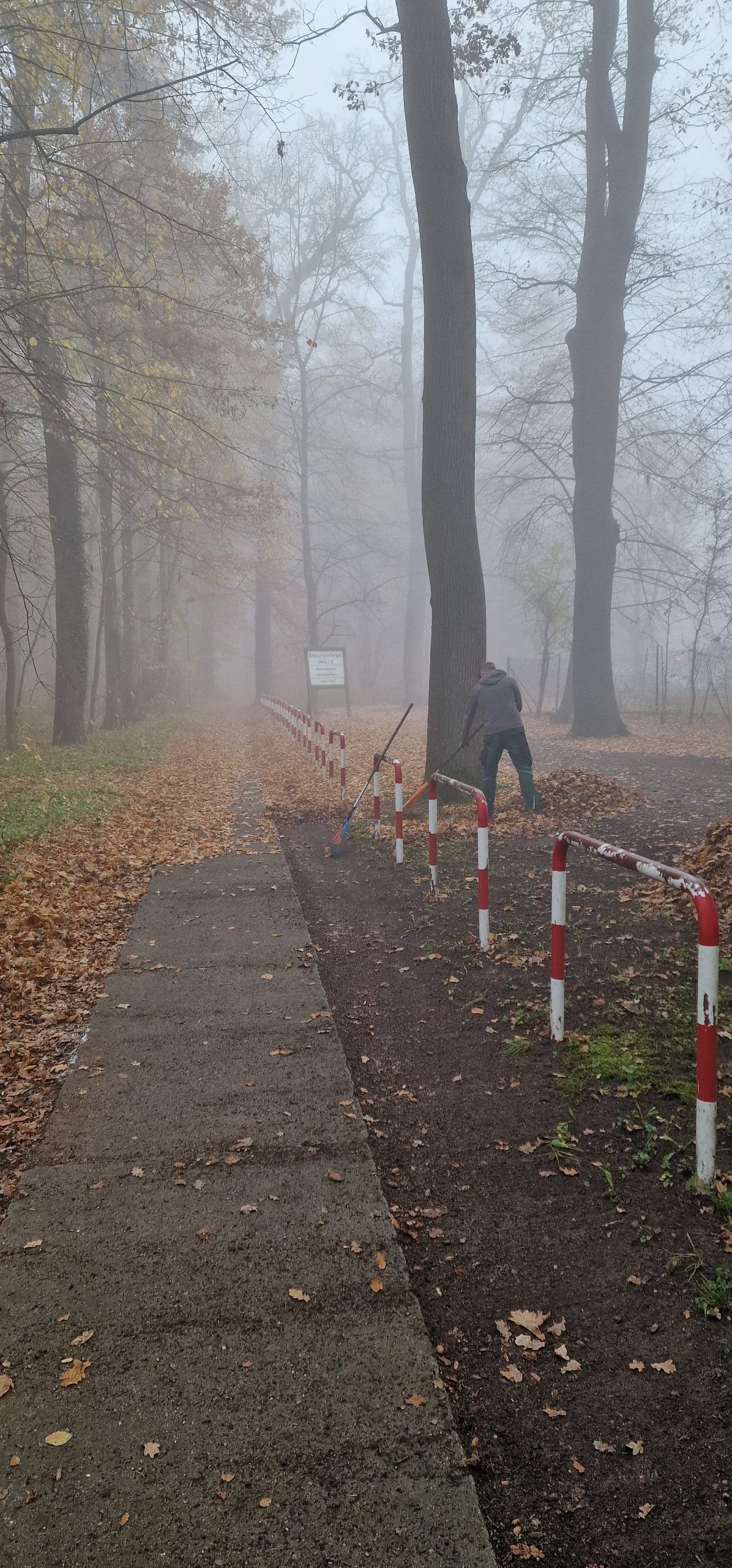 Arbeitseinsatz Nr. 7