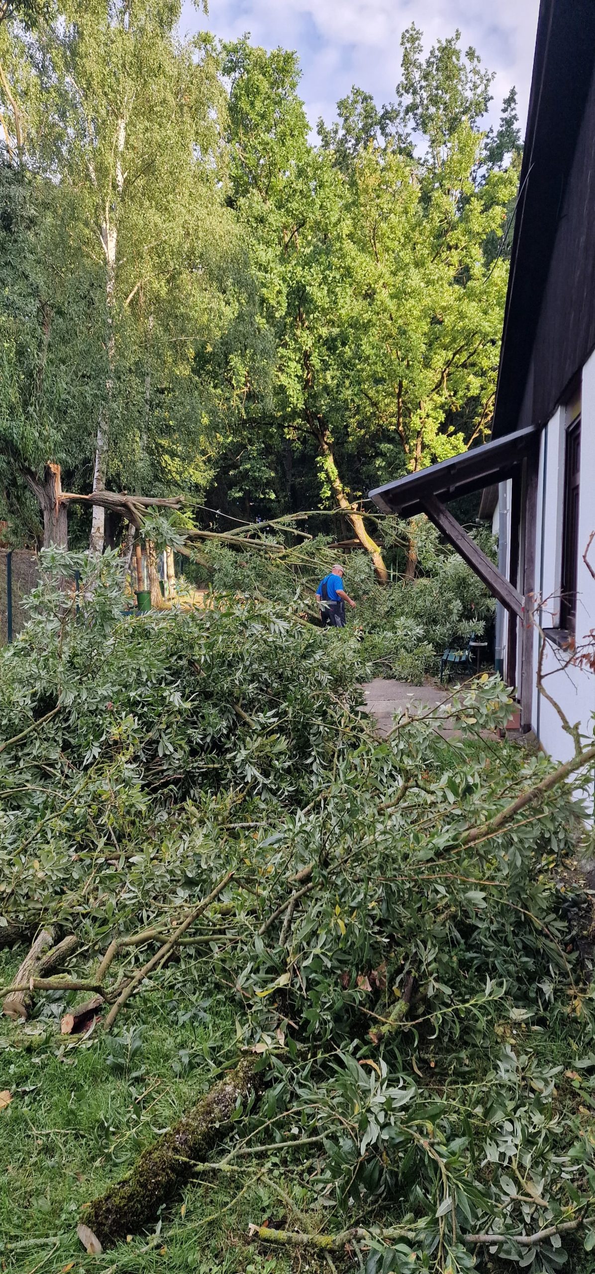 3. Arbeitseinsatz